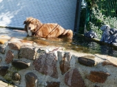 Pension_26