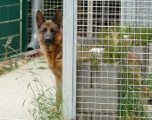 Pension_29