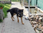 Pension_29