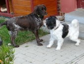 Pension_2