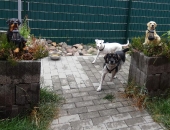 Pension_2