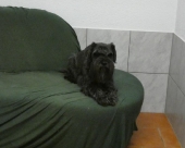 Pension_37