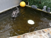 Pension_3