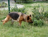 Pension_49