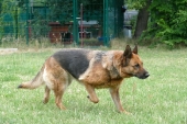 Pension_52