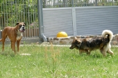 Pension_75