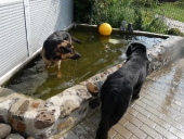 Pension_10