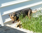 Pension_12