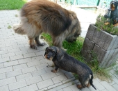 Pension_12