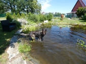 Pension_12