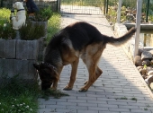 Pension_12