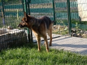 Pension_13