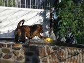 Pension_18