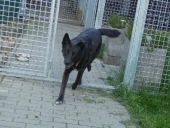 Pension_18