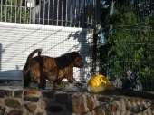 Pension_19
