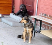 Pension_19