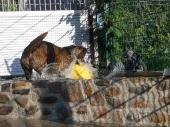 Pension_20