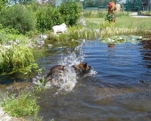 Pension_20