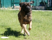 Pension_21