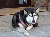 Pension_21