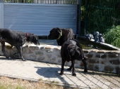 Pension_22