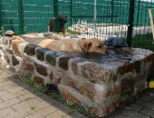 Pension_22