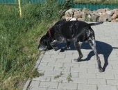 Pension_23