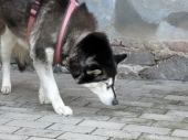 Pension_23