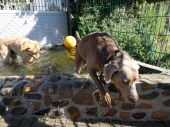 Pension_23