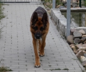 Pension_24