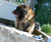 Pension_26