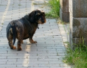 Pension_26