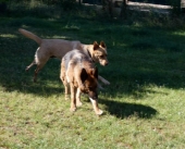Pension_27
