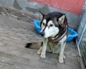 Pension_28
