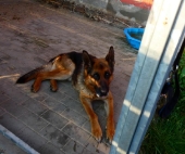 Pension_28