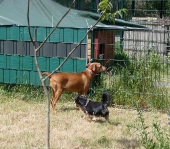 Pension_29