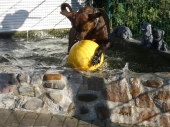 Pension_2