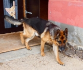 Pension_31