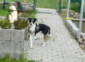 Pension_34