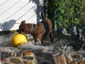 Pension_3