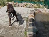 Pension_44