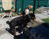Pension_46