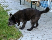 Pension_47