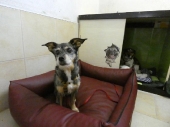 Pension_47