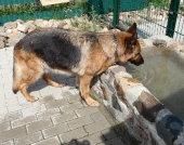 Pension_58