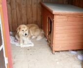 Pension_6