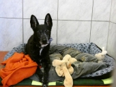 Pension_78