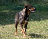 Pension_7
