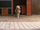 Pension_8