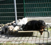 Pension_10